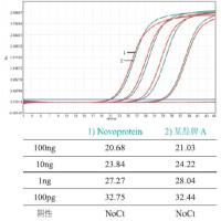 NovoScript®Plus All-in-one 1st Strand cDNA Synthesis SuperMix (gDNA Purge)