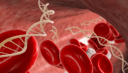 从癌症到产检：一文读懂游离DNA（cfDNA）的医学价值