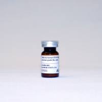 Cellectra CD14纳米分选磁珠