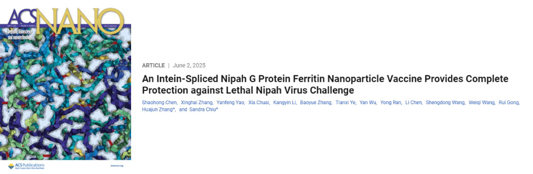 【2025年6月文献战报】Bioss 抗体新增高分文献精彩呈现
