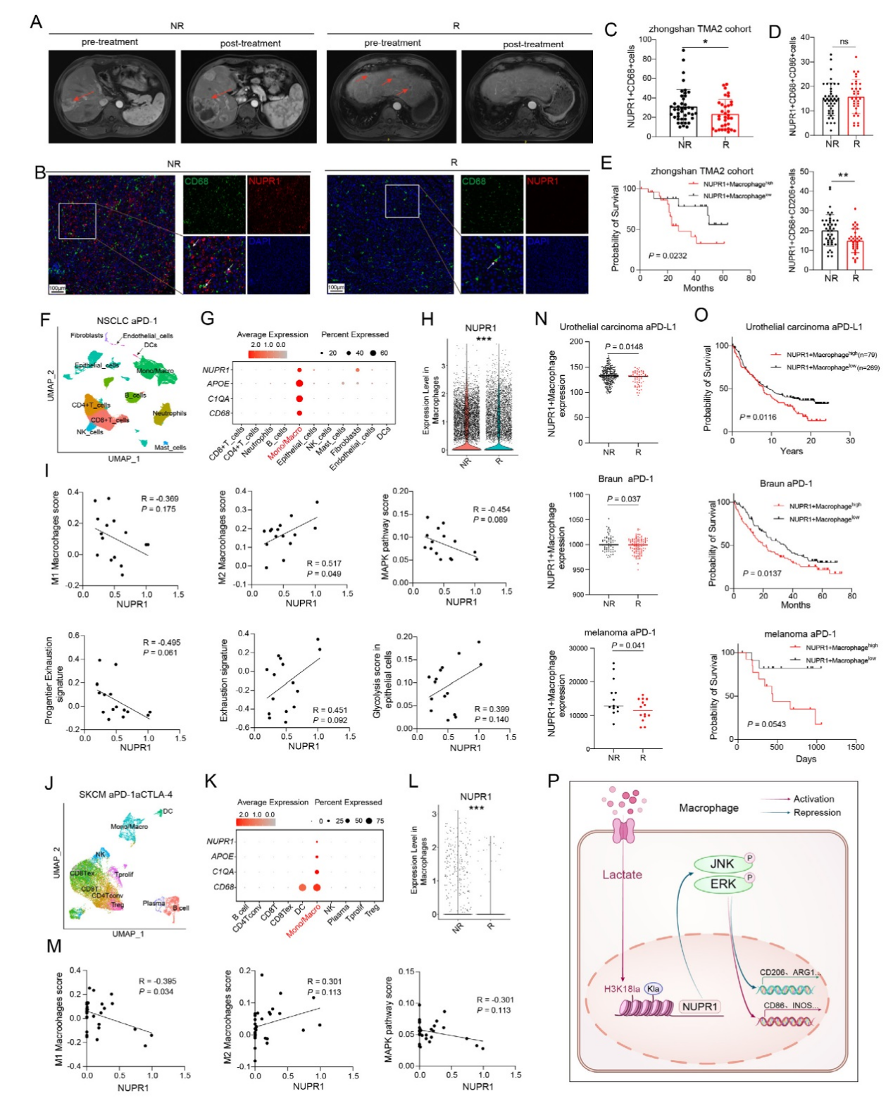 6389112841001297058080599