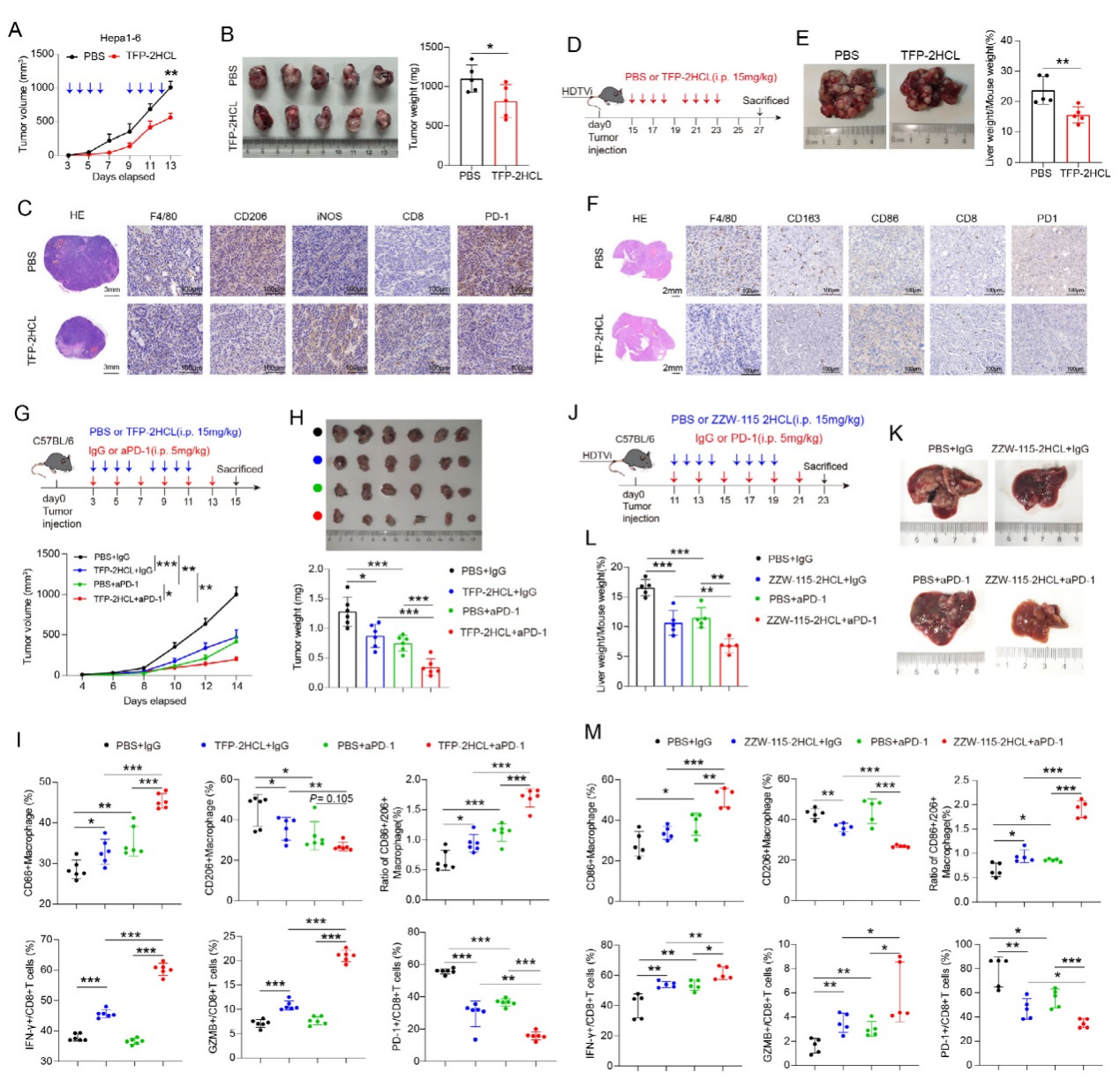 6389112835907584818212221