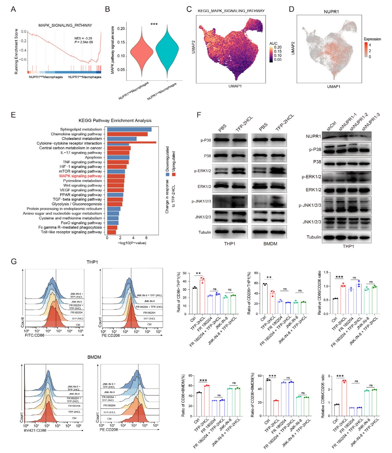 6389112831798343271868886