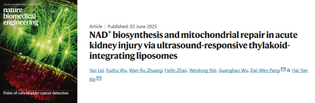 【2025年6月文献战报】Bioss 抗体新增高分文献精彩呈现
