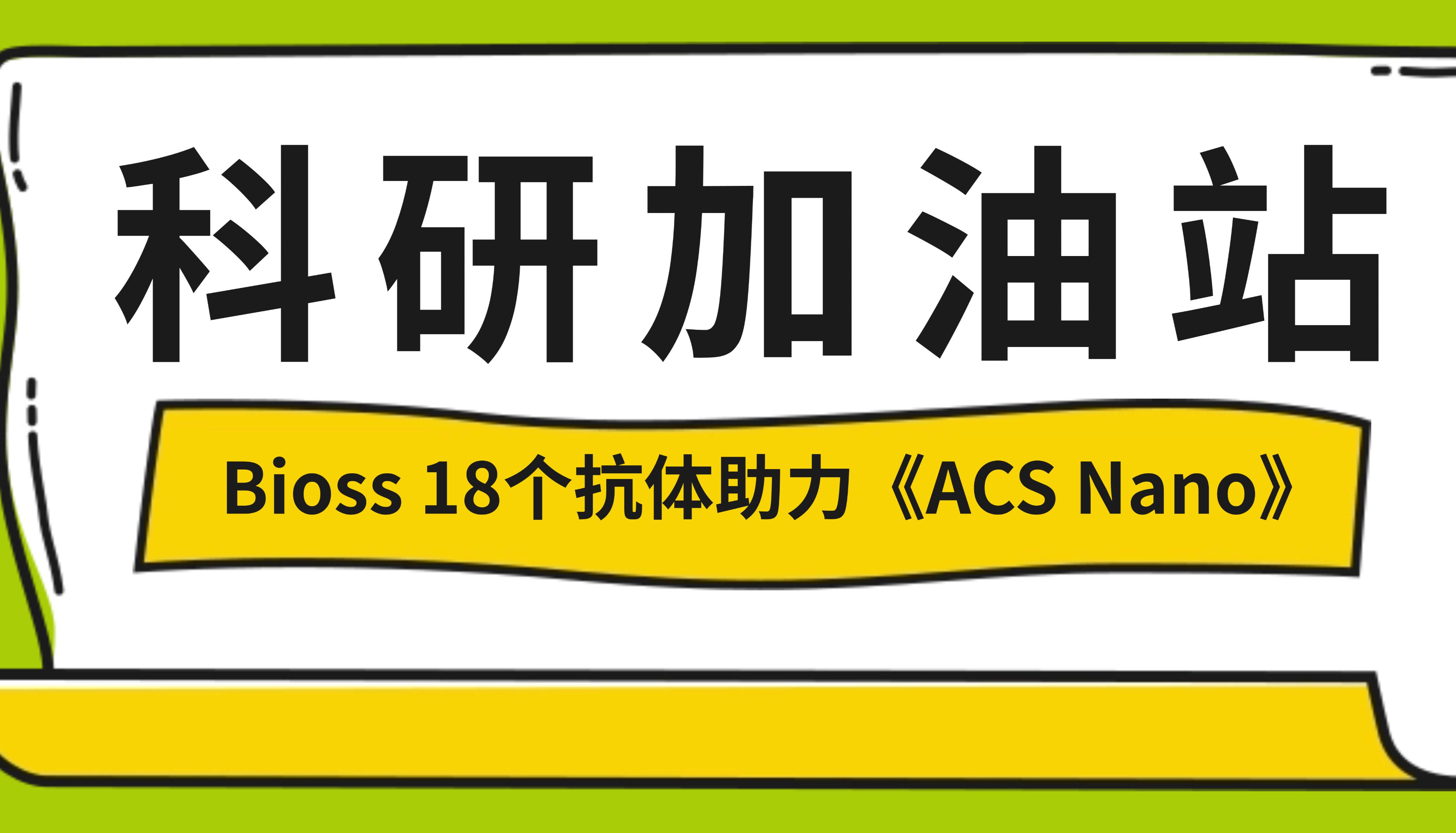 科研加油站 | 杨梅素低聚物治疗缺血性中风
