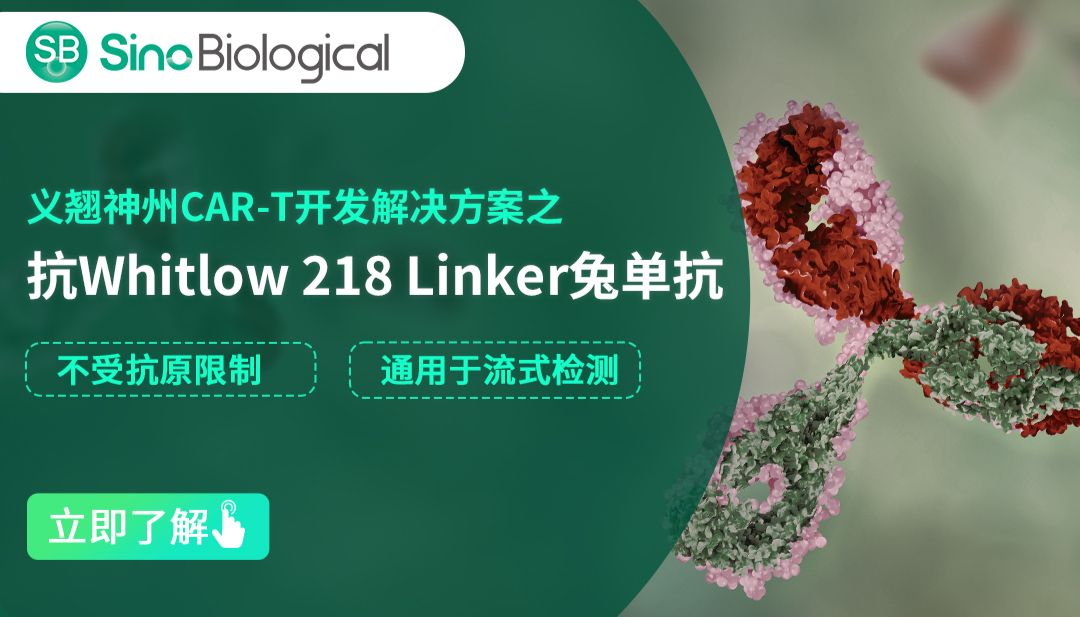 「新品速递」通用型Whitlow218 Linker兔单抗，高效助力CAR流式细胞检测
