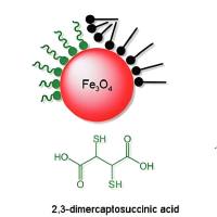 负载氟伐他汀的超顺磁性氧化铁纳米颗粒被狂 犬 病病毒糖肽（RVG29）和聚乙二醇修饰 fluvastatin@SPION-RVG29/PEG