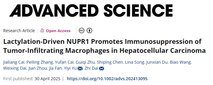 6389112824351619428041906