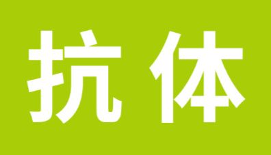 从突触重塑到胶质交互，高效科研抗体让抑郁神经环路“显形”