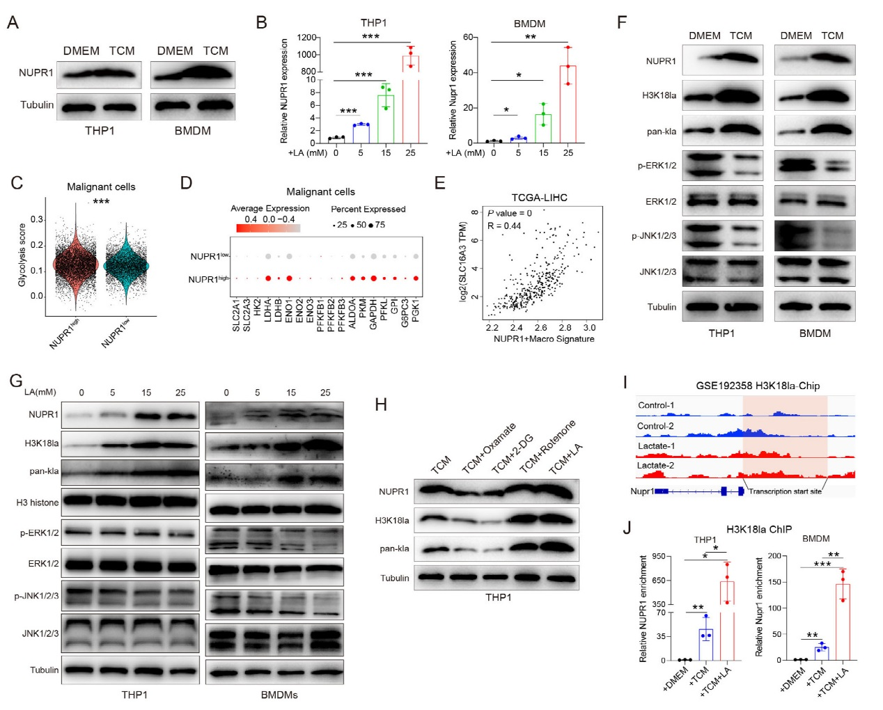 6389112838121653392480733