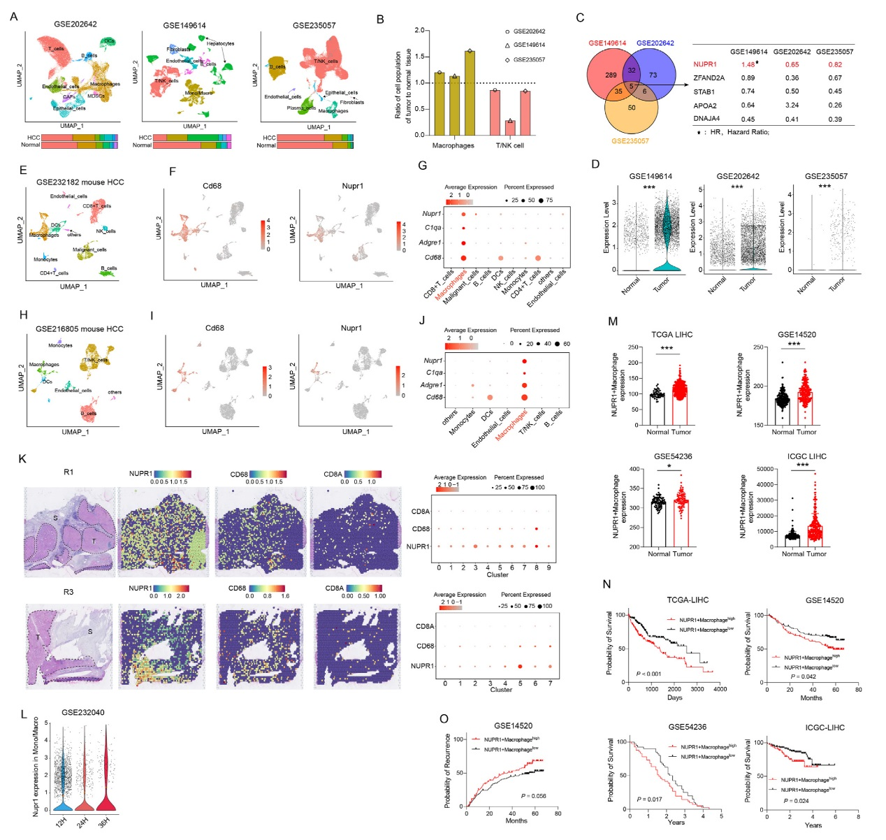 6389112825876769079484276