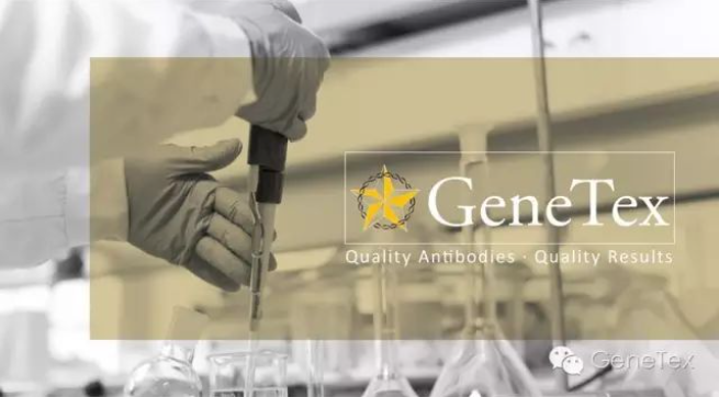 GeneTex品牌 GeneTex品牌