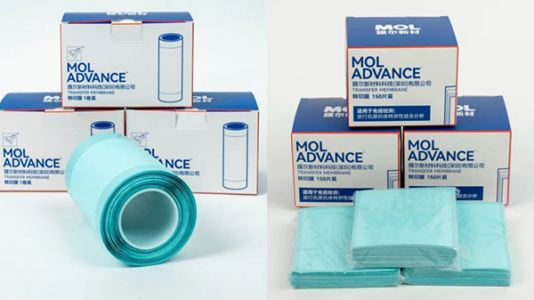 【可申请试用】“膜”力加倍!膜尔新材战神级PVDF膜横扫WB翻车现场—0.45μm精准孔径狙杀各类蛋白,背景纯净如冰川