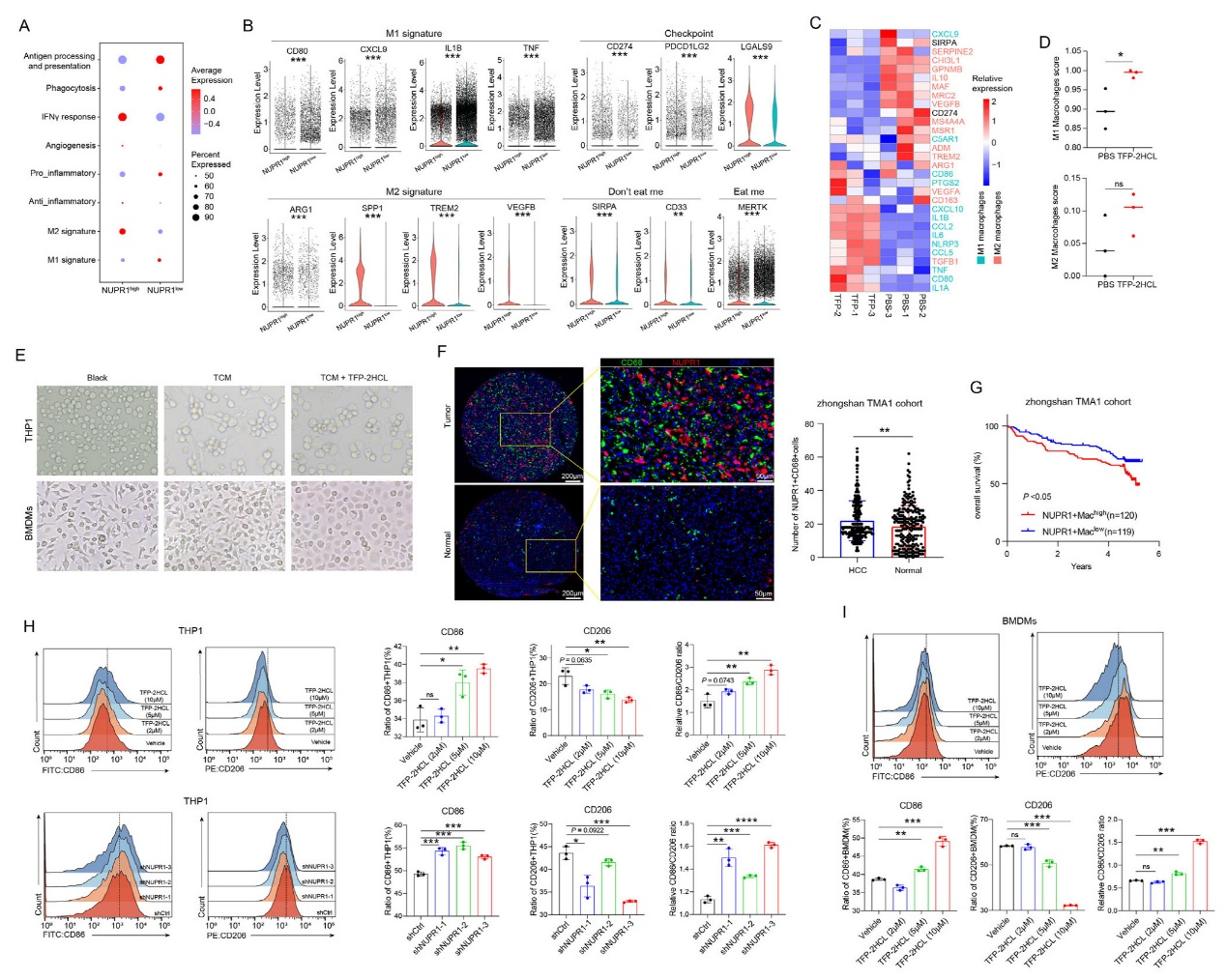 6389112829011689823294001