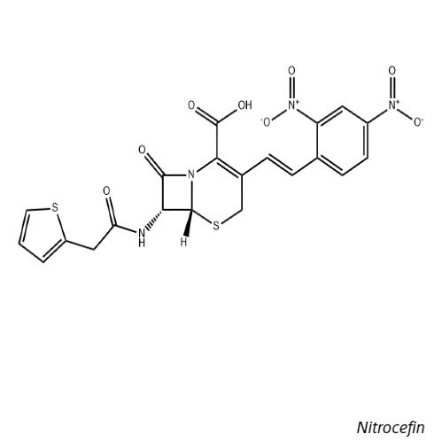 头孢硝噻吩