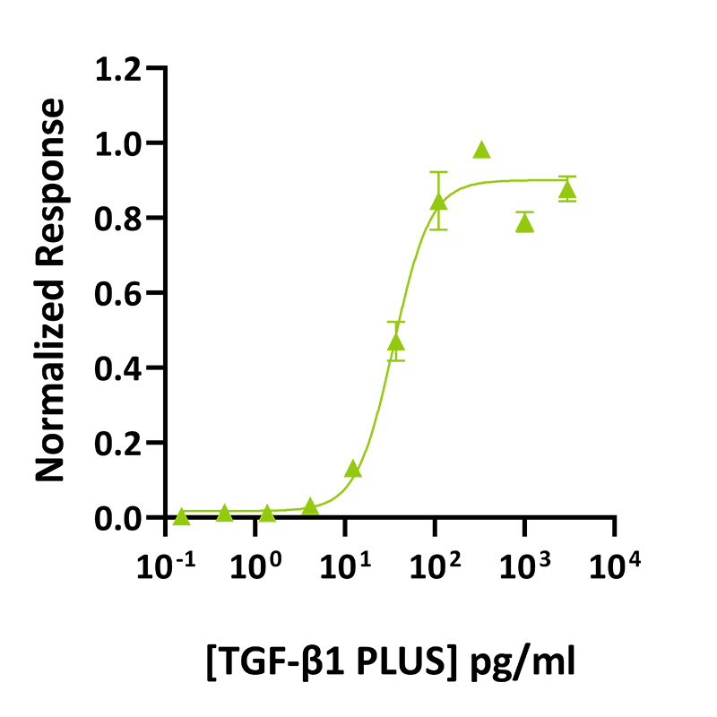 使用萤火虫荧光素酶报告基因检测法，在瞬时转染的HEK293T细胞中测定TGF-β1 PLUS活性