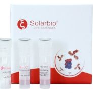 K110231P Anti-EIF3E Polyclonal Antibody