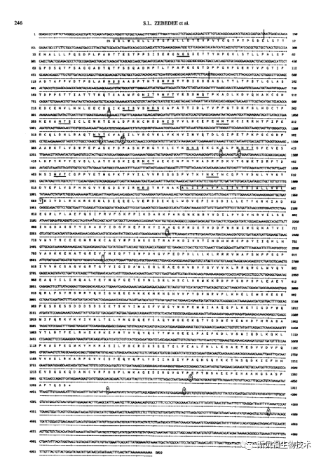 CD45.1/CD45.2、Thy1.1/Thy1.2、OT-1/OT-2小鼠，应该pick谁？