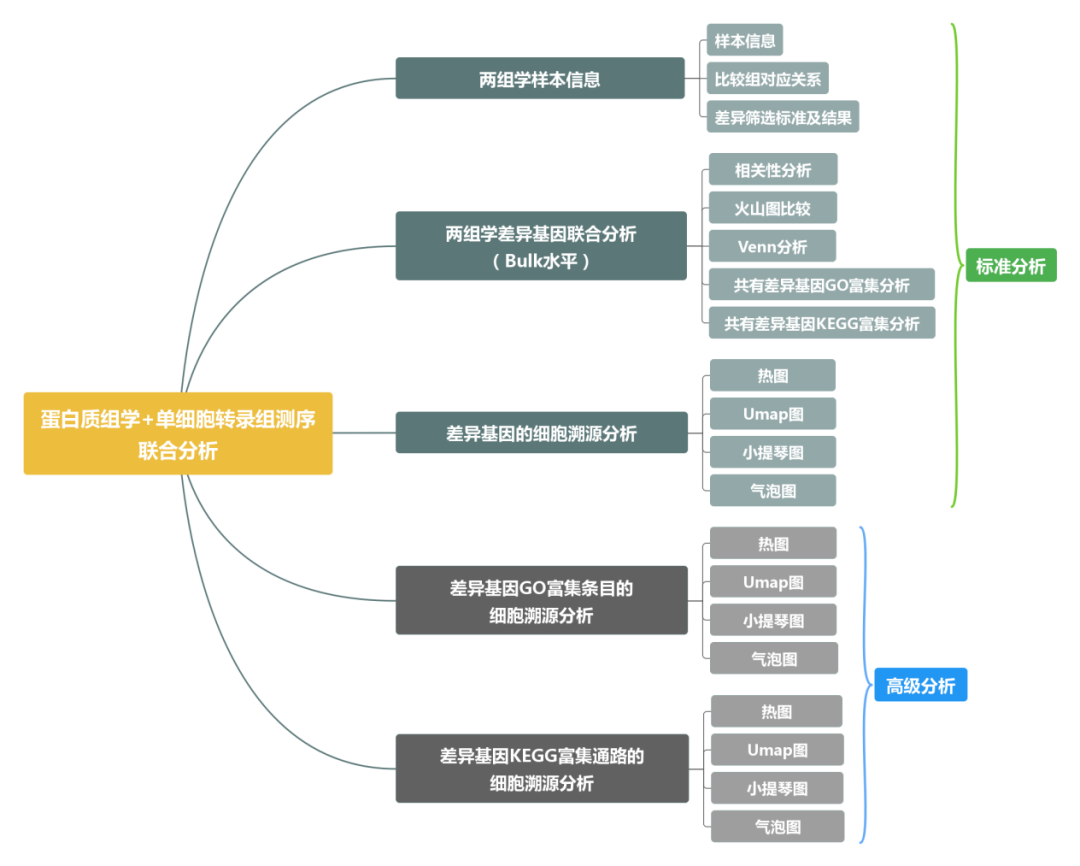1+1＞2！单细胞/蛋白组联合分析速成指南