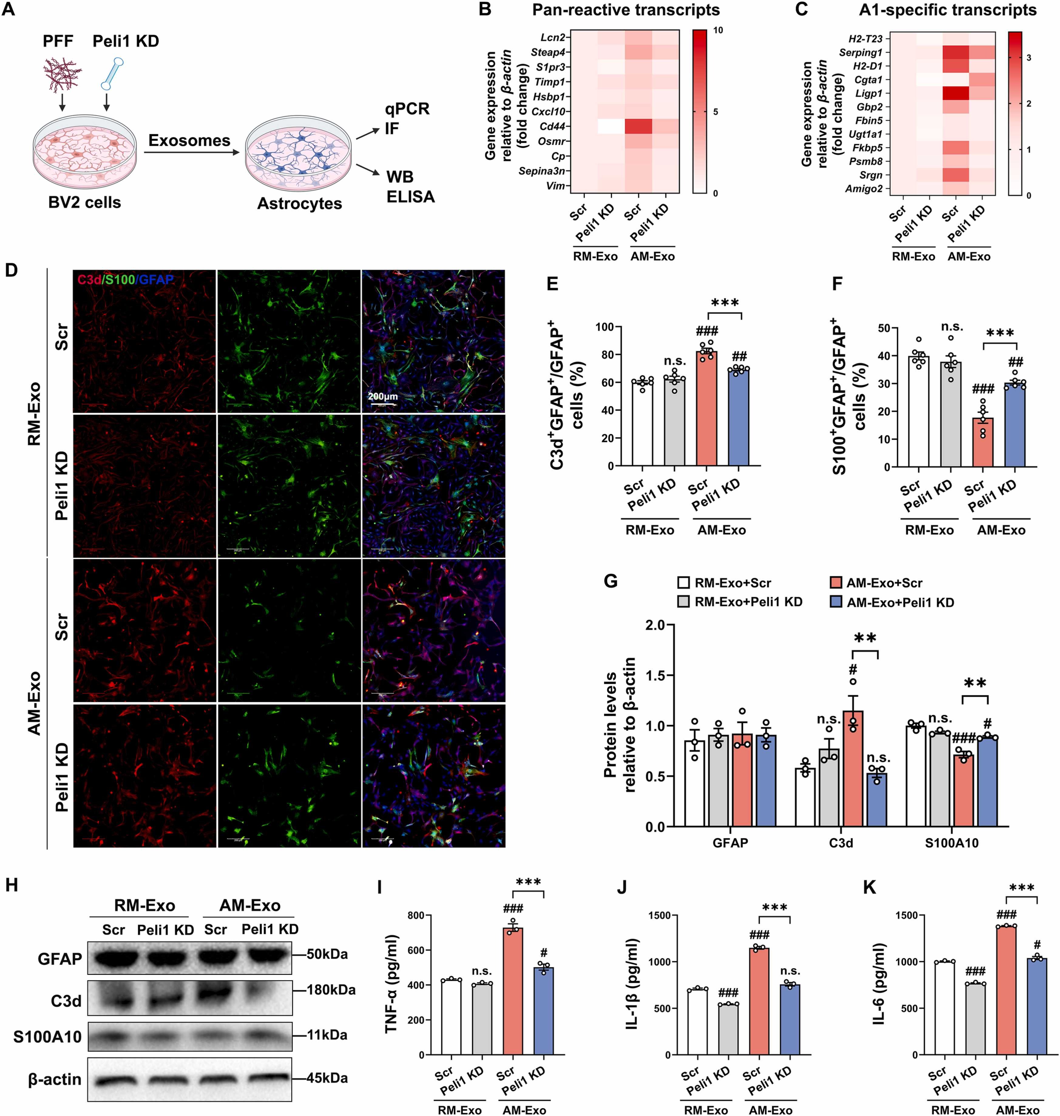 外泌体技术服务 外泌体技术服务