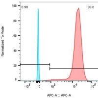 CARTEST® Human BCMA-APC Kit
