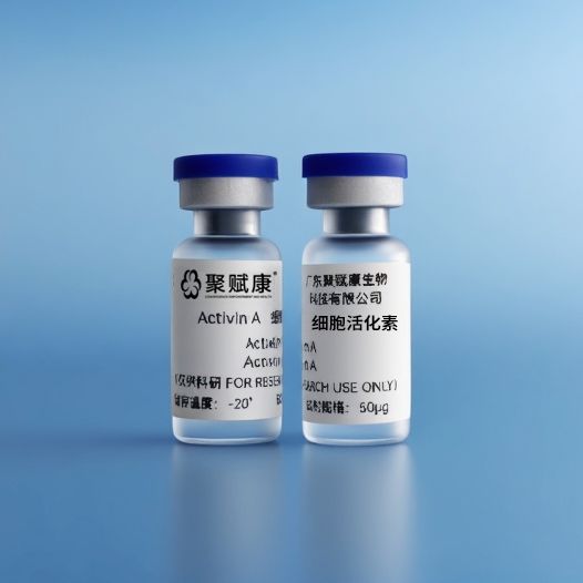 细胞活化素Activin A 