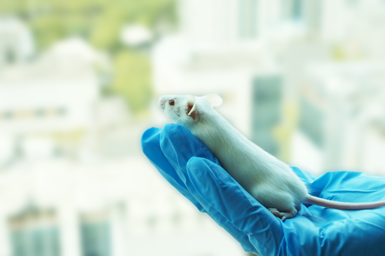 CD45.1/CD45.2、Thy1.1/Thy1.2、OT-1/OT-2小鼠，应该pick谁？