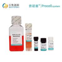 MC3T3-E1 Subclone 14 成骨诱导分化培养基