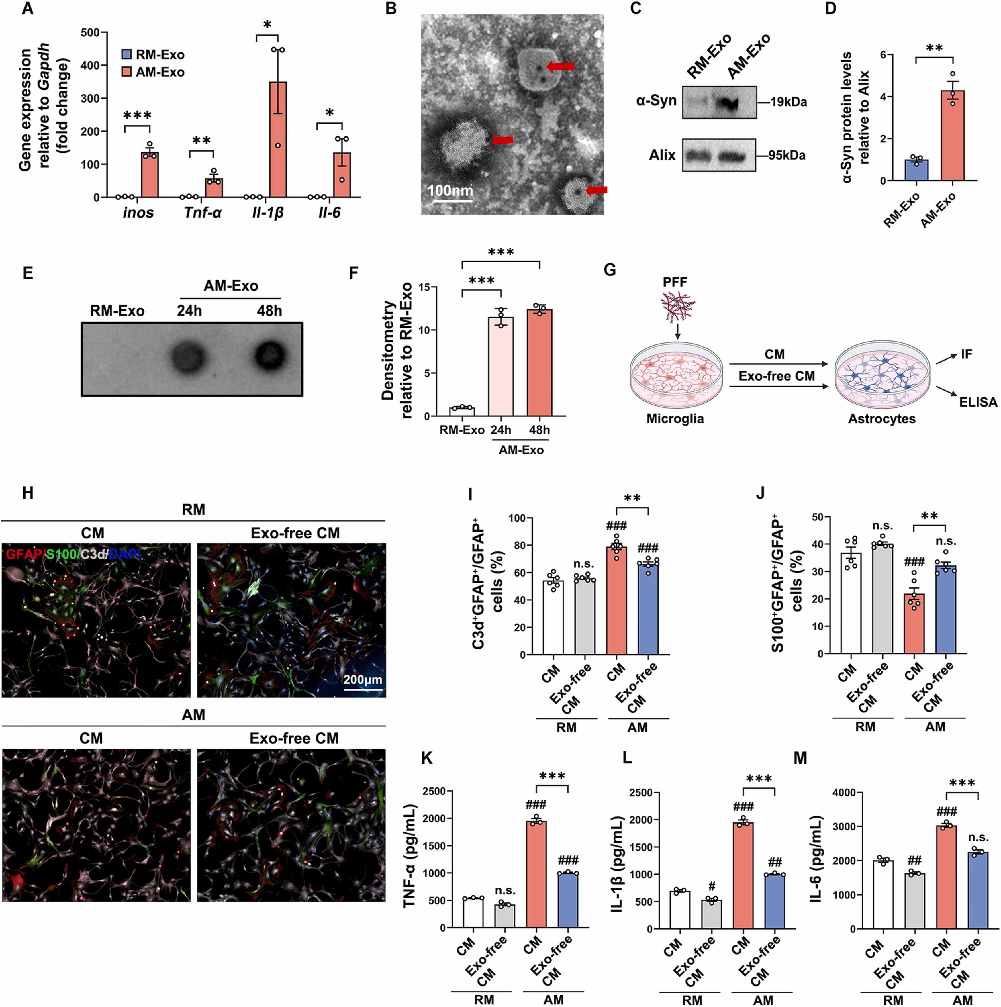 外泌体技术服务 外泌体技术服务