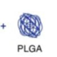 负载阿霉素的聚乳酸-羟基乙酸共聚物纳米颗粒被Mn²⁺配位的聚多巴胺修饰 DOX@PLGA NPs-Mn²⁺-PDA