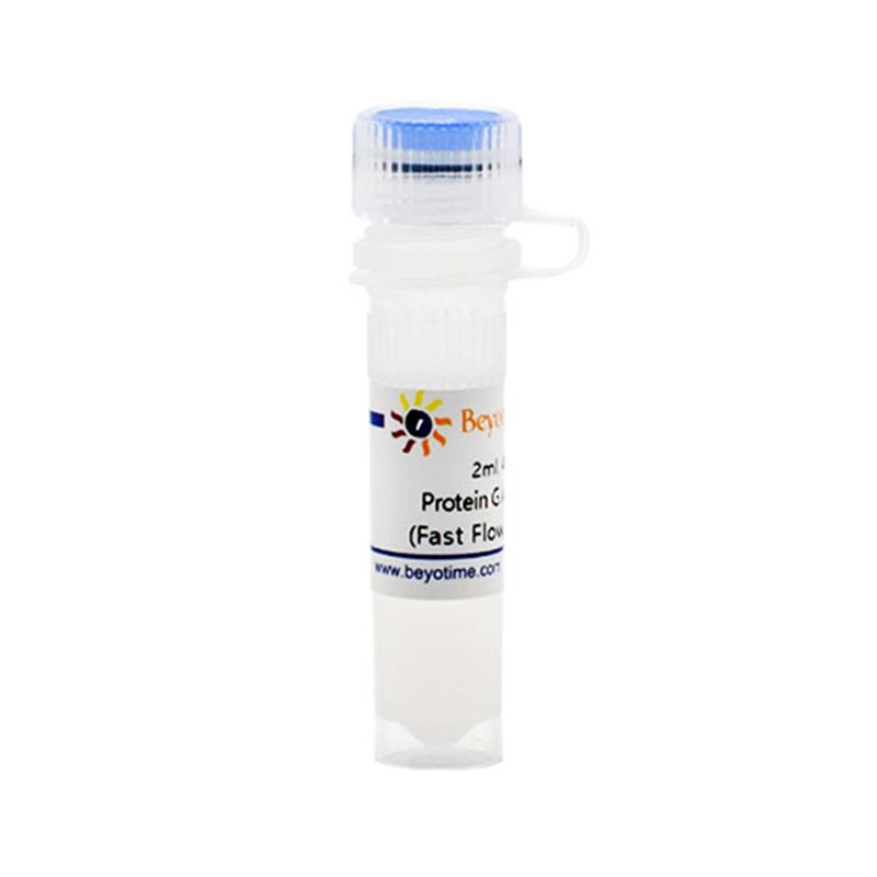 Protein G Agarose (Fast Flow, for IP)
