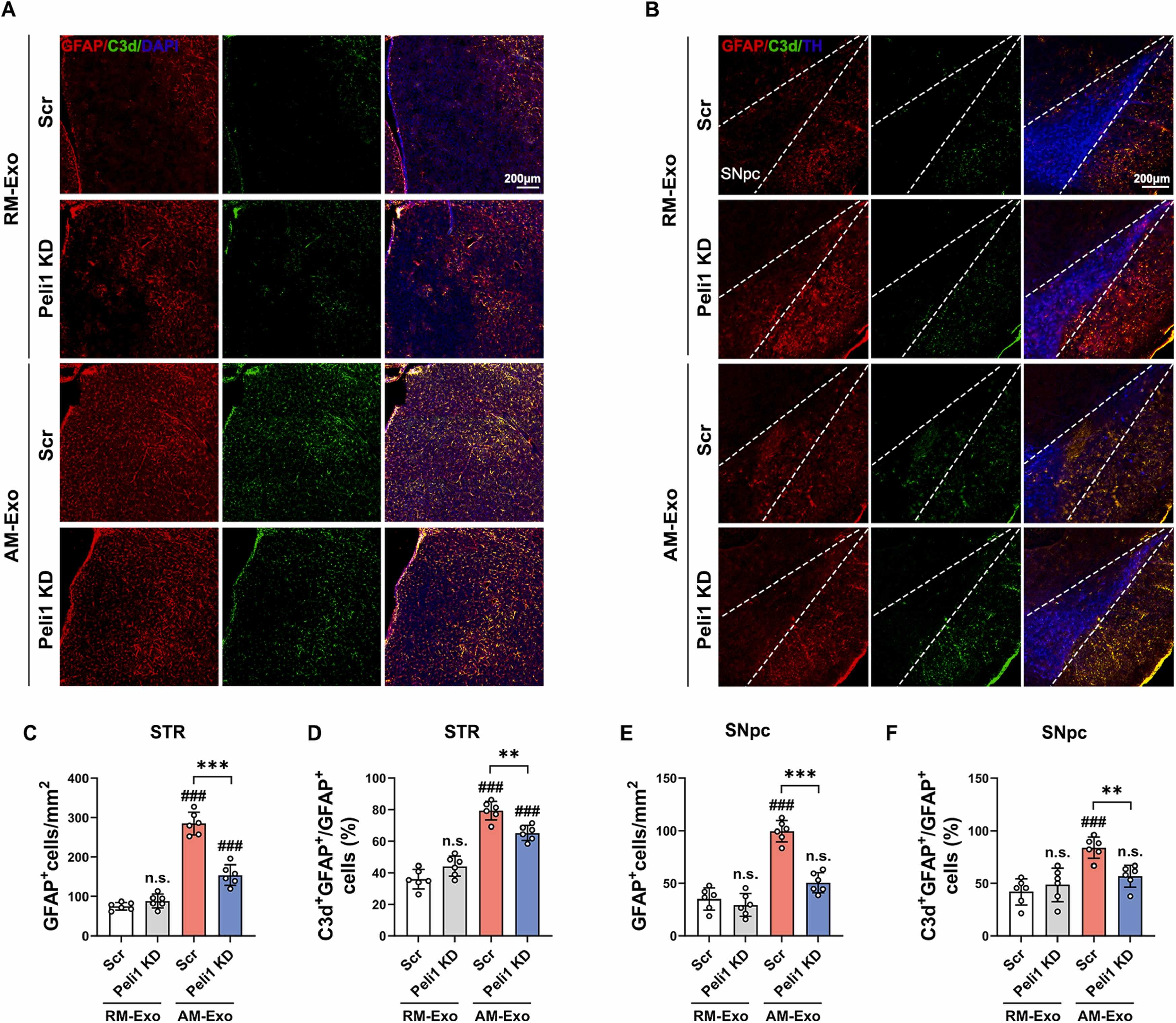 外泌体技术服务 外泌体技术服务