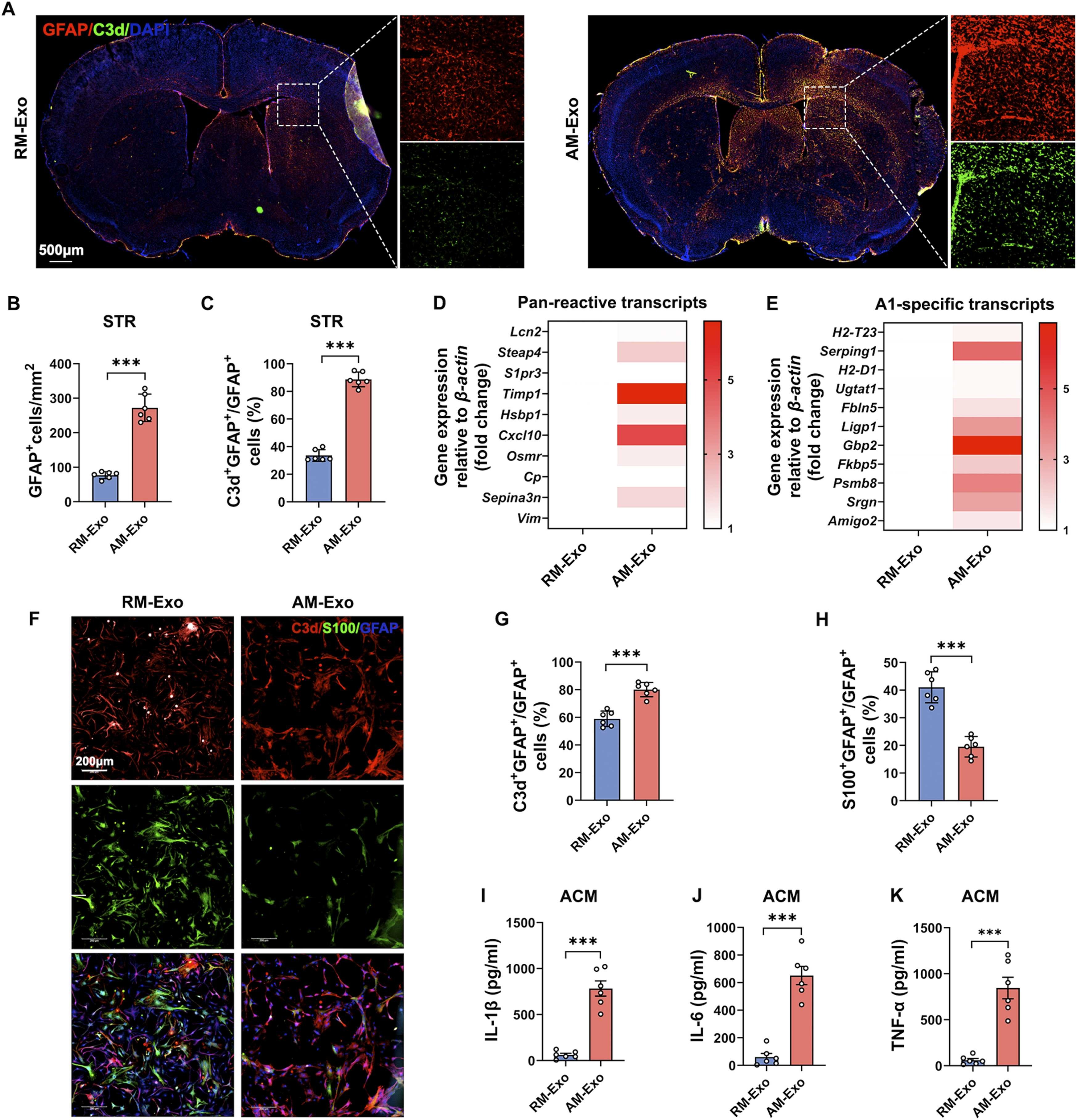 外泌体技术服务 外泌体技术服务