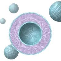 Cy5.5标记曲妥珠单抗（Trastuzumab）修饰的脂质体（Liposome）包载TLR7 激动剂