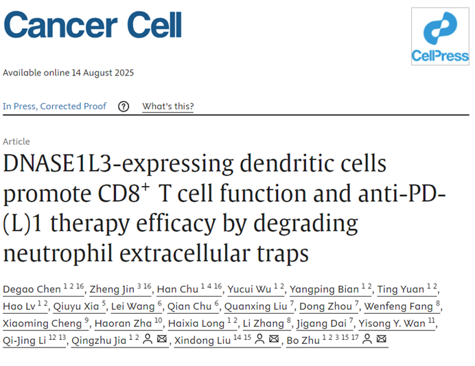 Cancer Cell: 陆军军医大学新桥医院朱波教授团队发现癌症治疗新靶点DNASE1L3