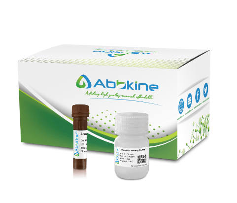 Fig. Annexin V-AbFluor™ 555 Apoptosis Detection kit allows the identification and quantification of apoptotic cells by flow cytometry or fluorescence microscopy.