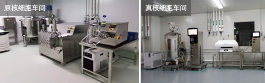 综合性的CAR-T细胞疗法开发解决方案