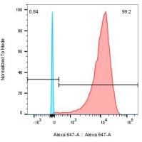 CARTEST® Human MSLN-647 Kit