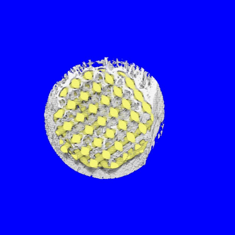 显微CT 植入物材料 扫描检测