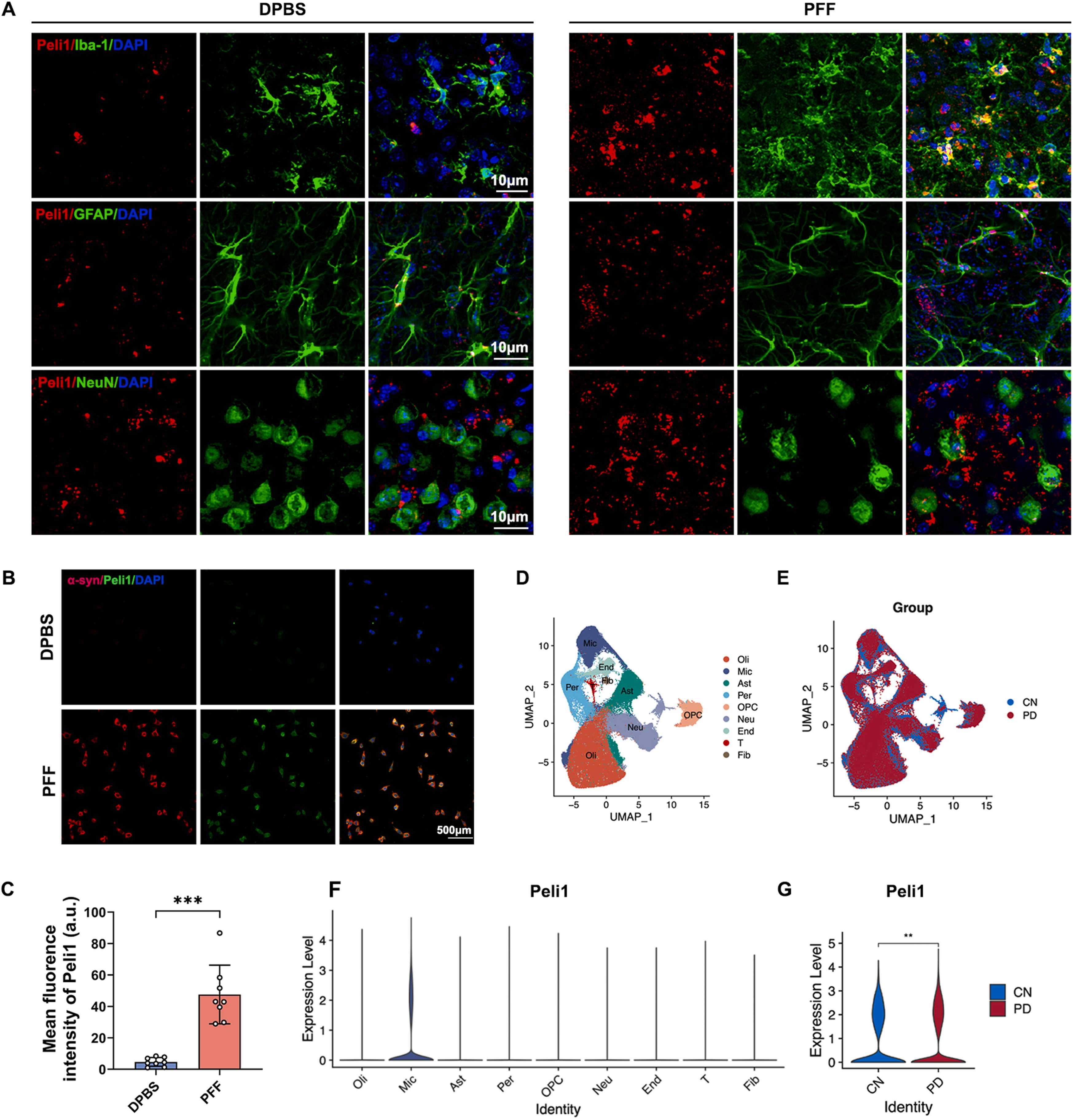 外泌体技术服务 外泌体技术服务