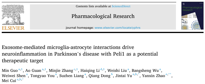 历时1个月10+发文 “外泌体”重磅发现！揭示PD神经炎症新机制，从实验到结论一气呵成！