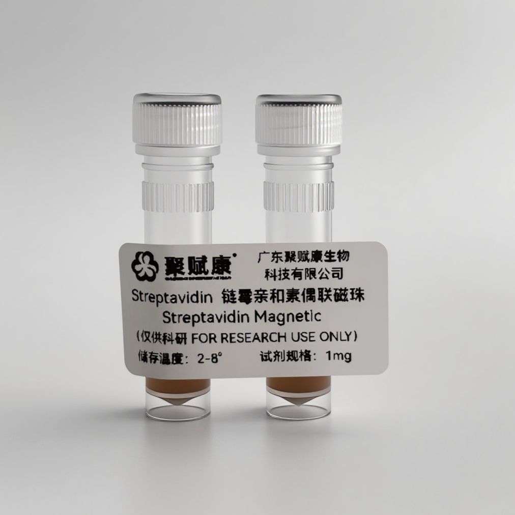 链霉亲和素偶联磁珠