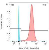 CARTEST® Human BCMA-647 Kit