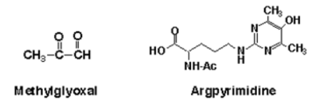 JaICA抗甲基乙二醛（MG）单克隆抗体，现货促销，品质保障价格优