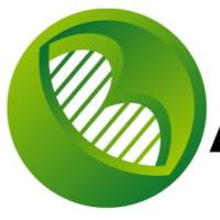 人乙型肝炎病毒前S2抗原(HBV preS2Ag)ELISA Kit