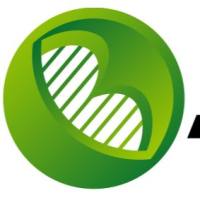 大鼠磷酸化核因子κB抑制蛋白α(pIKBα)ELISA Kit