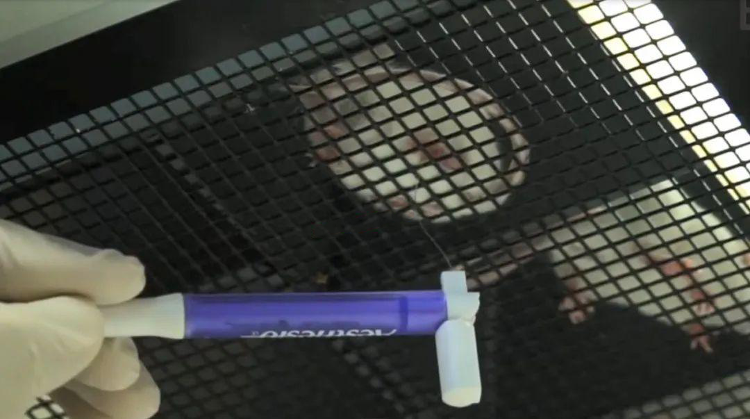 UGO机械痛测试实验指南