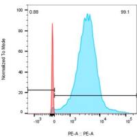 CARTEST® Human CD19-PE Kit