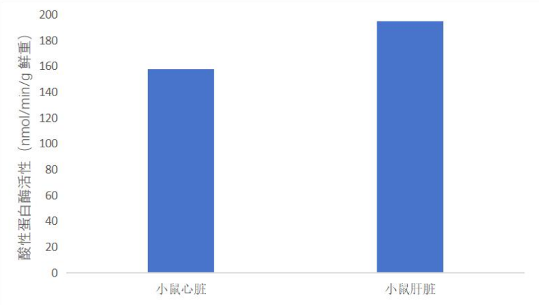 Fig.CheKine™ Micro Acid Protease (ACP) Activity Assay Kit