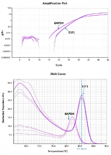 TAKARA 高特异性qPCR试剂 RR820A (原SYB